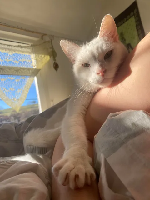 I hope my girl can brighten up someone’s day 🌞