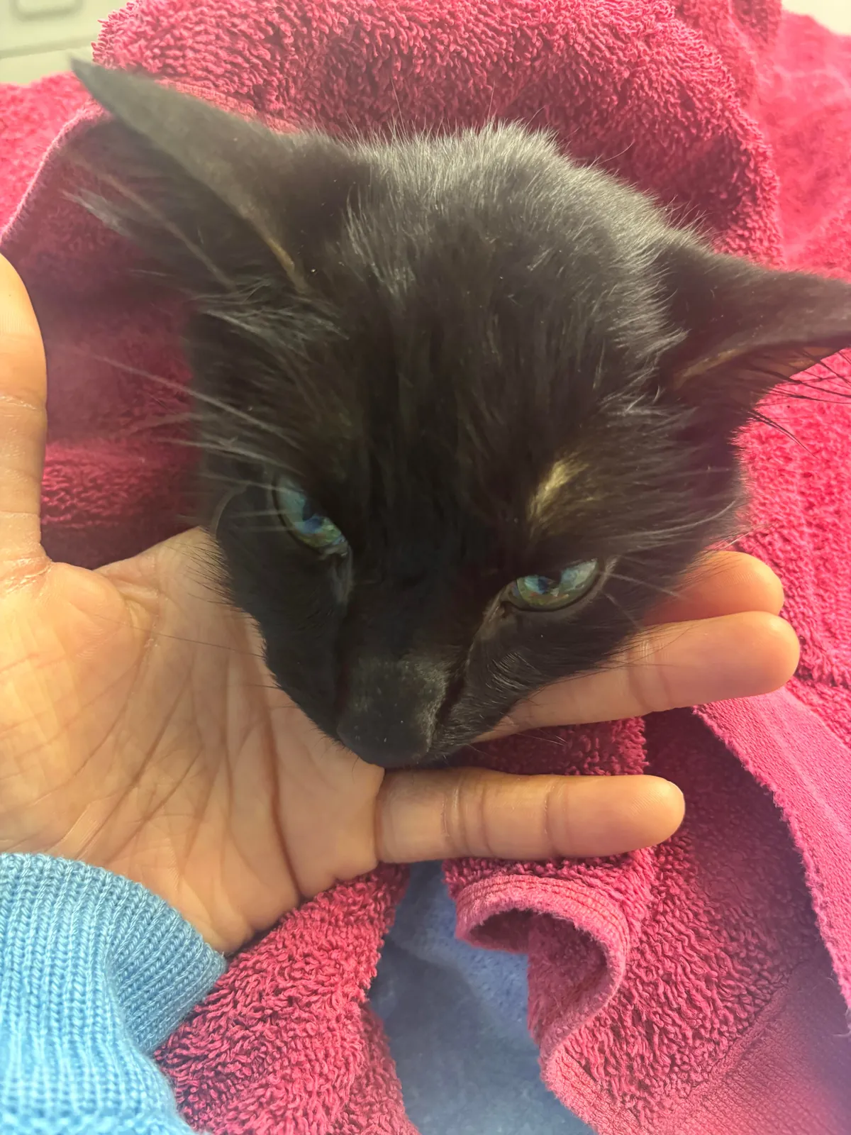 I lost my Lapis last night💔