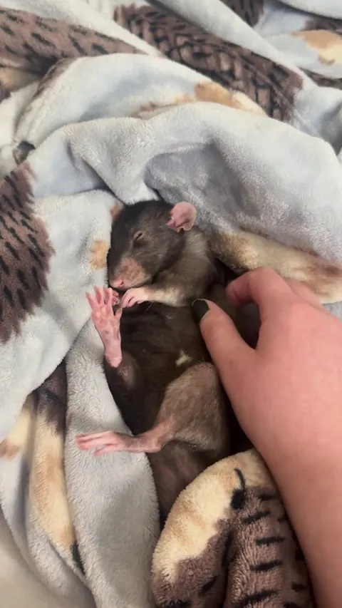 why is he so perfect