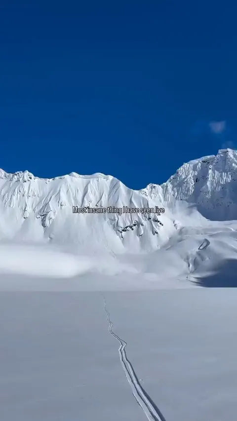 This is whole another level