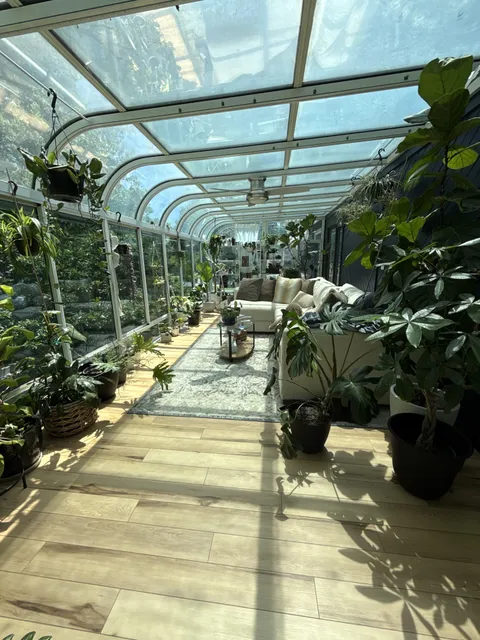 Light, leaves, and lots of lounging