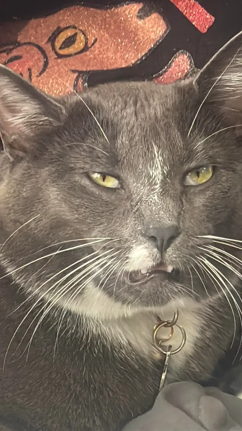 Cowboy looking completely brainless, a common theme for him