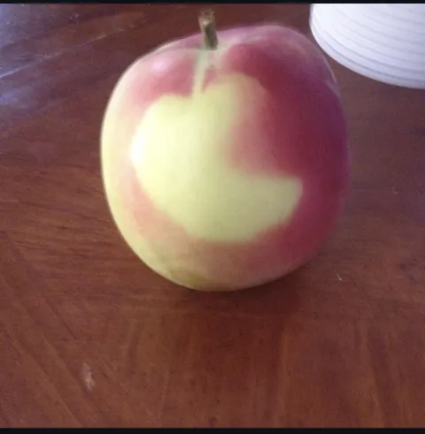 An apple with an apple on it