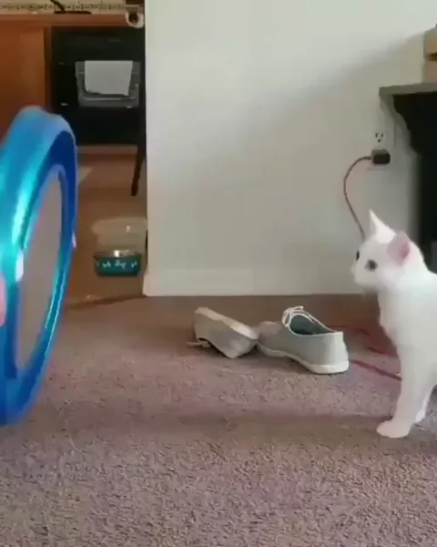 Round And Round It Goes... Where It Stops Nobody Knows