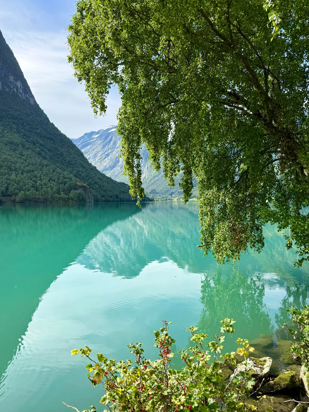 8 summer days in the Norwegian fjords 🌸🌿⛰️