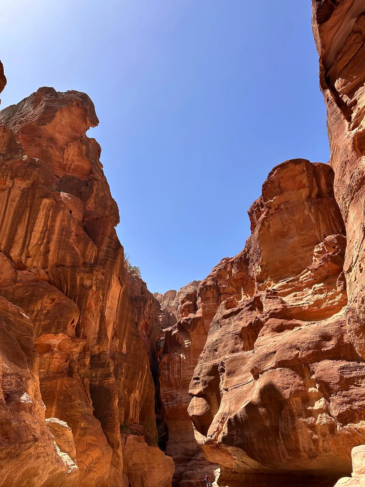 A Week in Jordan 🇯🇴