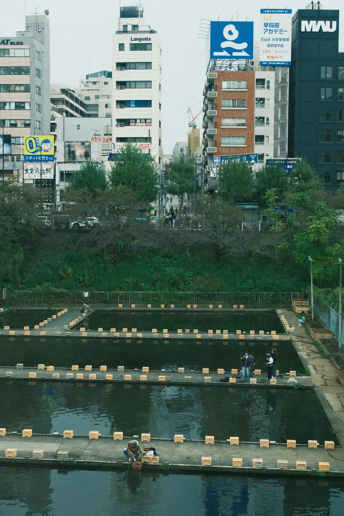 Our First 4 Days in Tokyo 🇯🇵