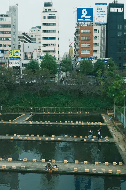 Our First 4 Days in Tokyo 🇯🇵