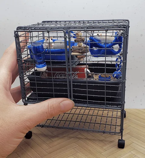 Table Top Rat Zen Garden