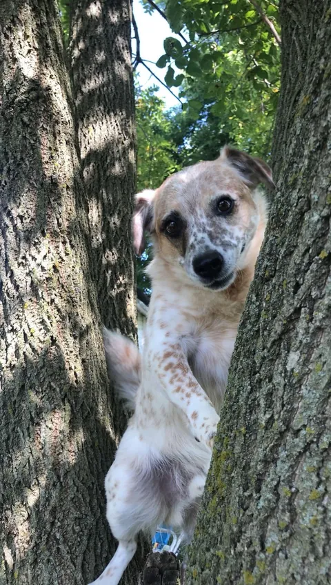 More pictures of Chief being unapologetically himself