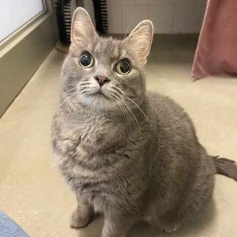 My new daughter, yes her eyes are just like that