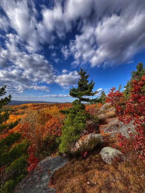 Blueberry Mountain, Ontario Canada [3024x4032] (OC)