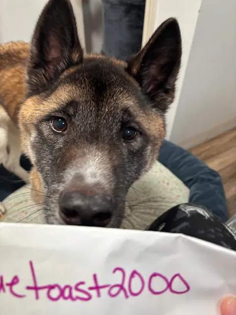 Update on my Survivor