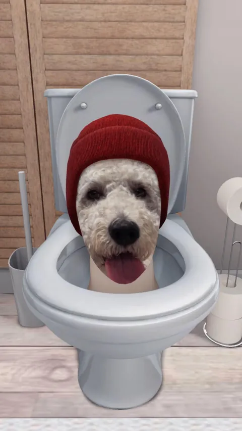 My wife is an ER nurse. If kids need an IV, she shows photos of our pup to calm them down. The 1st is their favorite