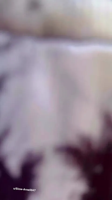 The neighbors love my risky teases 😍