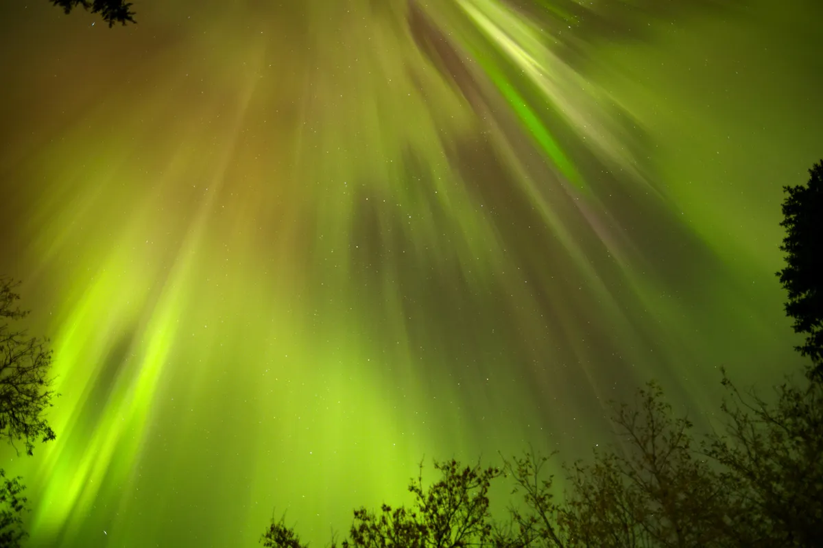 🔥 Northern Lights in Canada on the 10th