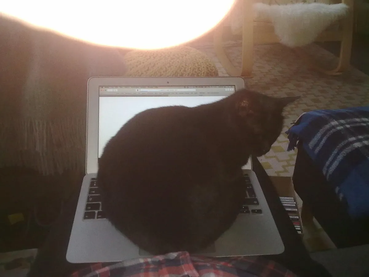 The Many Moods of Lola