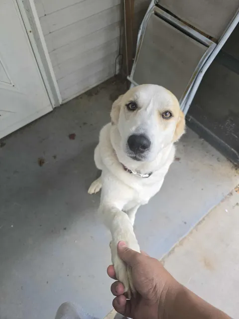 This is Willow. She hopes you have a good day.