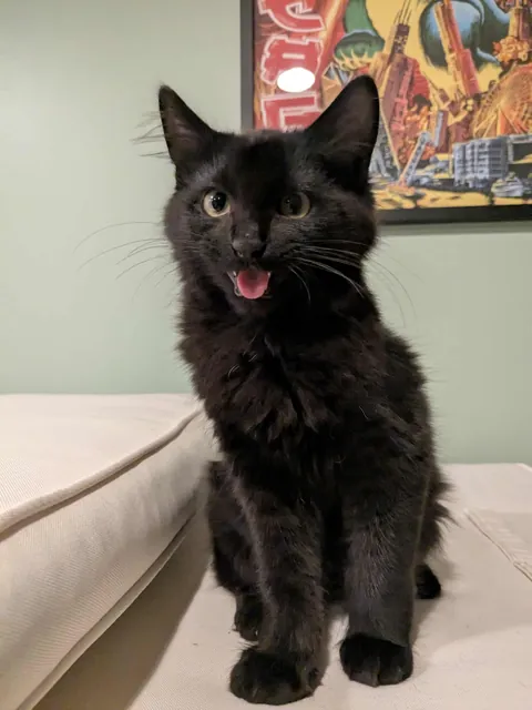 Wanted to show off my son