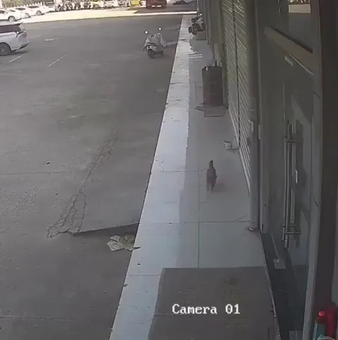 Don't think karma is real? This should convince you.