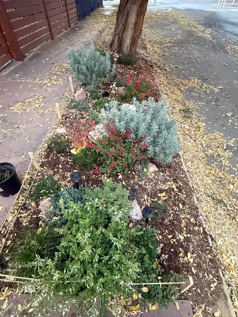 My 2nd year gardening, and I’m proud to share ‘em!