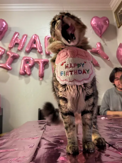 Look at this birthday boy