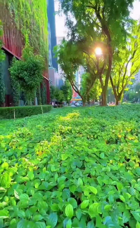 The facade of this building in Singapore is covered in 21 species of climbing plants.