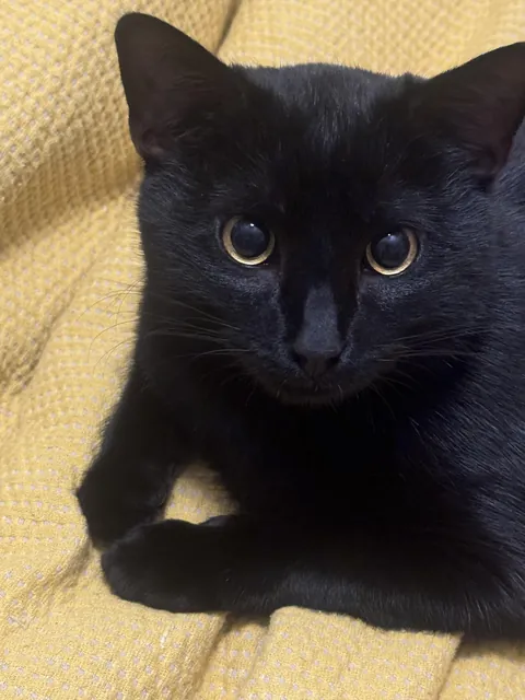 He did wake me up at 2:15am, but he’s SORRY. (No he’s not.)