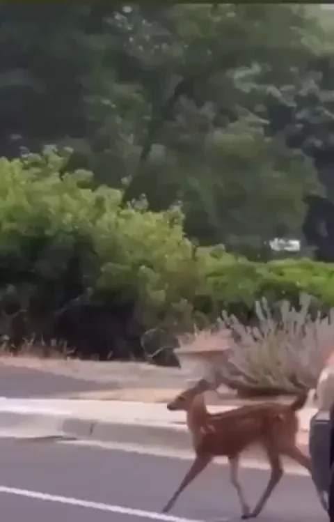 When you spot the camera and try to act as graceful and natural as possible