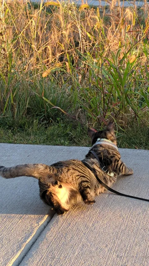 My bubba passed away suddenly.