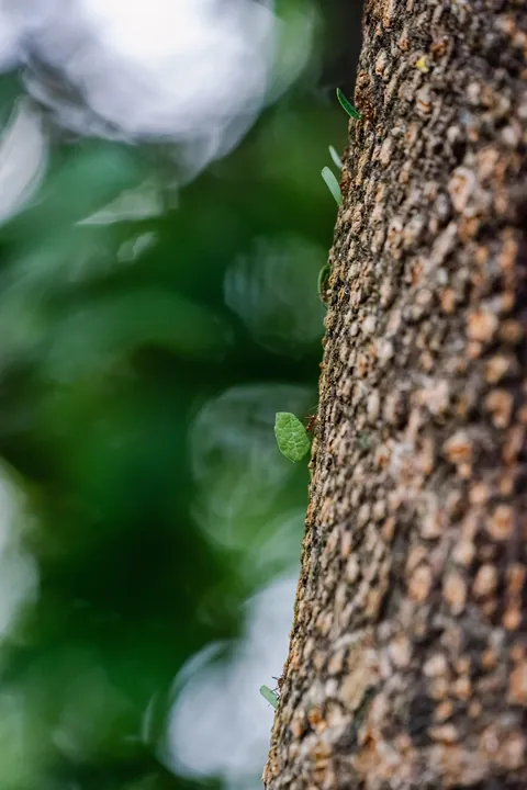 A little slice of pura Vida 📍 Costa Rica