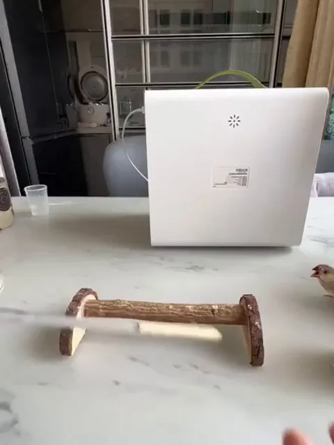 Feeding birds like filling donuts