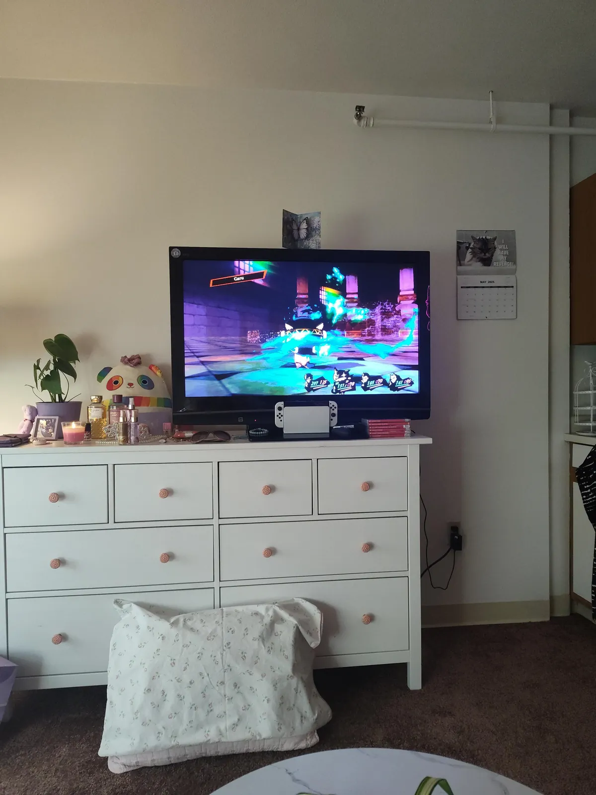 🌸💖After 15 Years of Homelessness, I Finally Have My Own Home!🌸💖