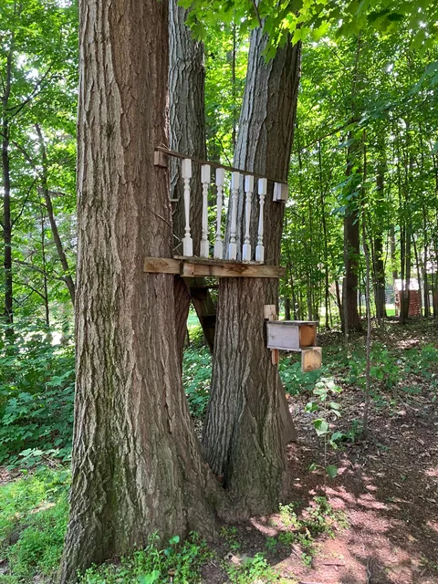 Tree fort for my kids.  The last 4 pics are what the previous tree fort looked like when we bought the property in May