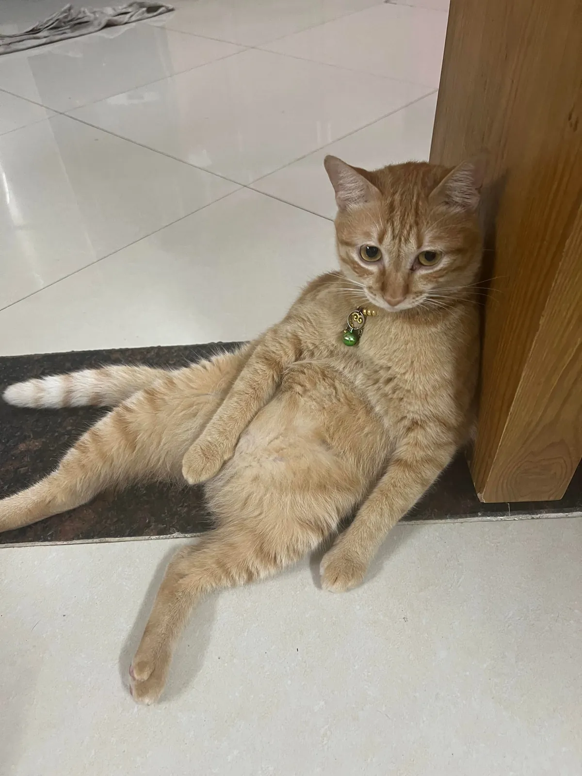 My roommate is unemployed and has a bad posture, roast him