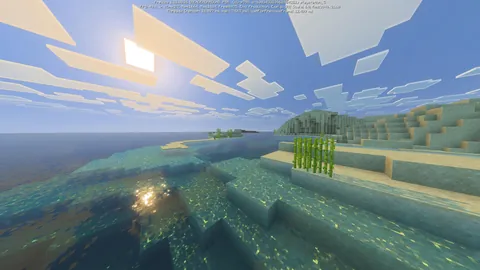 This is vanilla Minecraft now