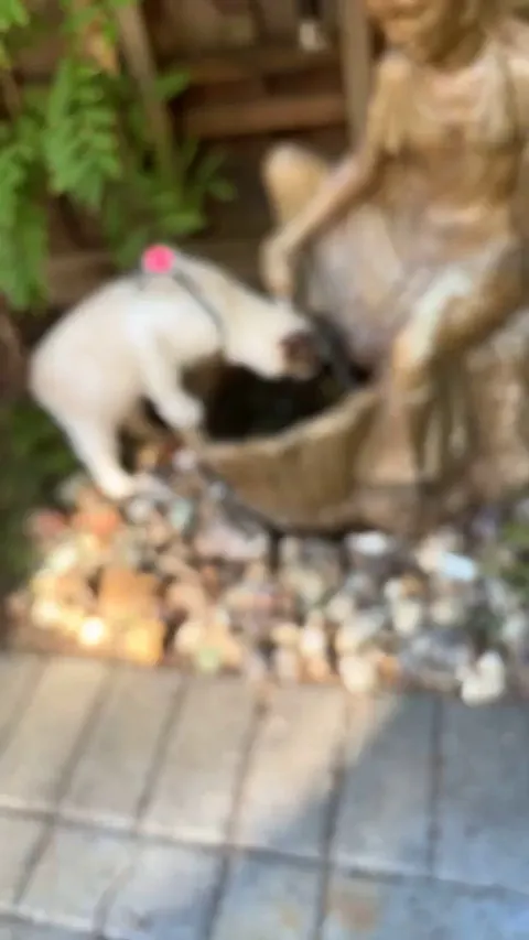 can anyone explain this behavior?? 