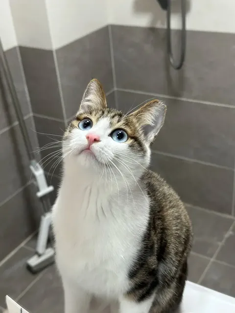 She seems to know that she is very beautiful in the mirror