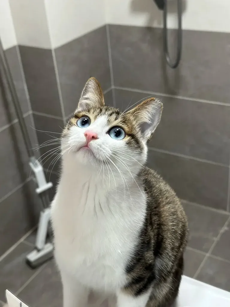 She seems to know that she is very beautiful in the mirror