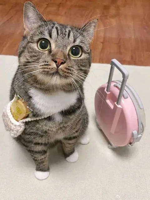 Ready for my vacation. 