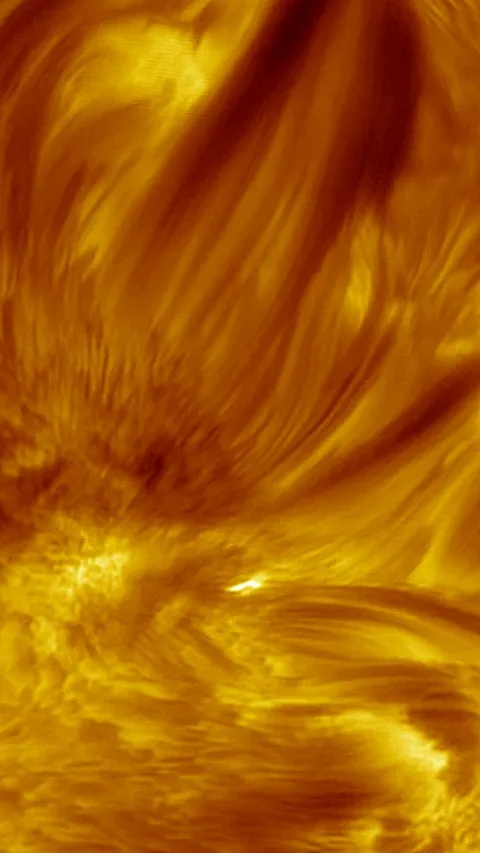 Chromospheric Fibrils Above An Active Region