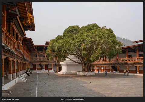 Some of my favourite images from Bhutan