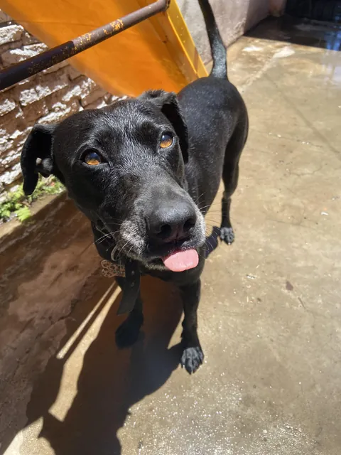 My beauty happy to be bathed on a very hot day