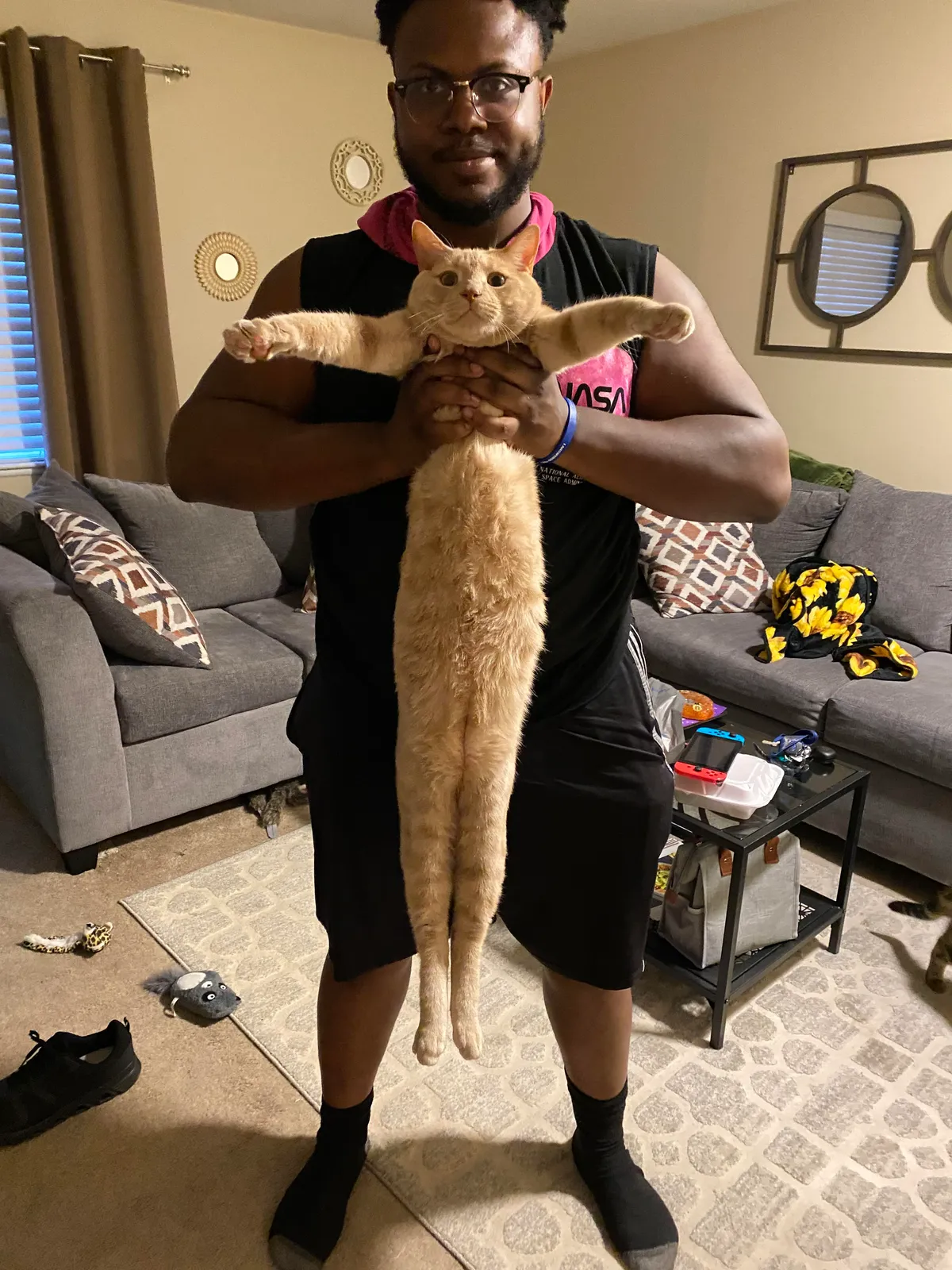 Picked up this guy as a kitten and he never stopped growing, he just turned 1! I’m 6 foot 2 for reference. Any chance he’s got Maine coon or savannah in him? He’s 15 lbs!