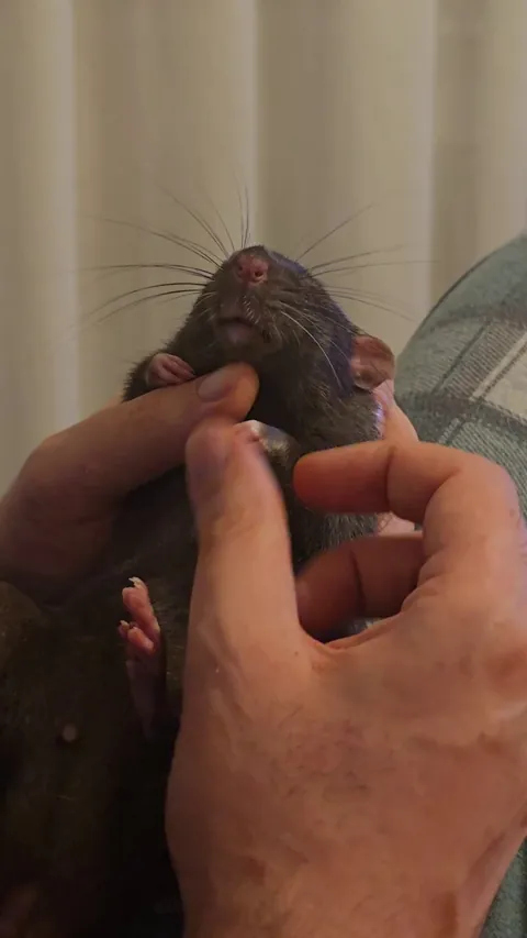 I think his brain is off