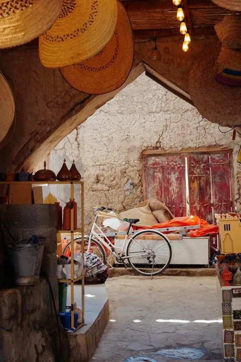 Oman: the most incredible nature in the Gulf! (Dec 2025)