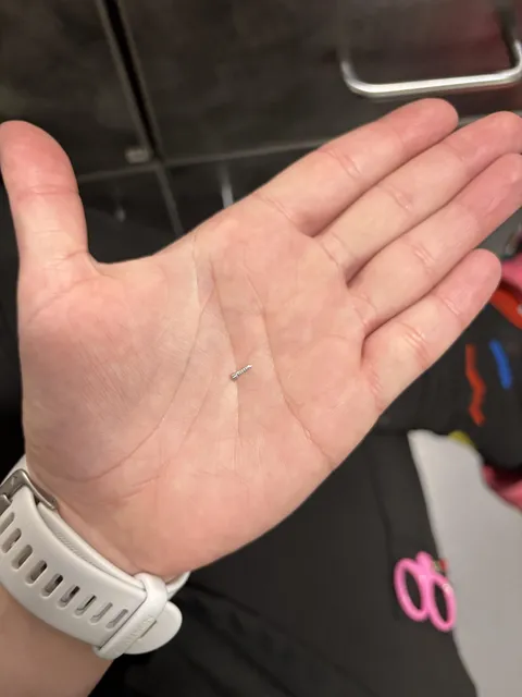 one of our smallest surgical screws at a veterinary orthopedic specialty