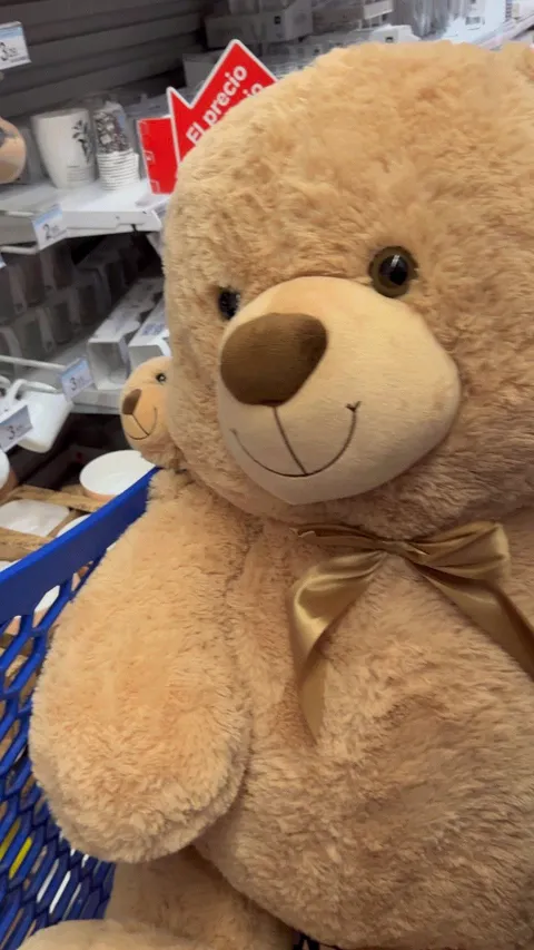 Flashing and pushing my giant bear through the supermarket 