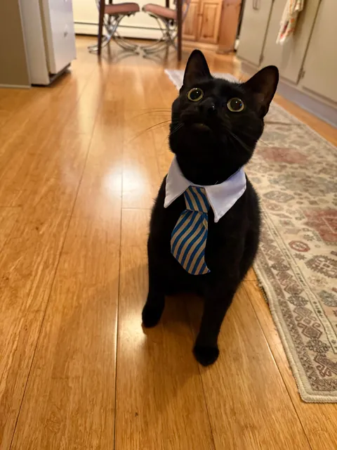 Murray is now a straight shooter with upper management written all over him.