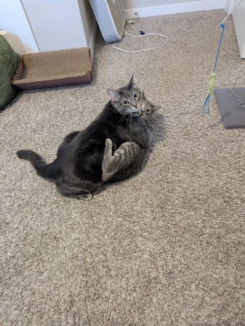 I feel like I interrupted something